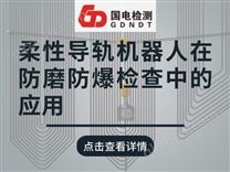 柔性導(dǎo)軌機(jī)器人