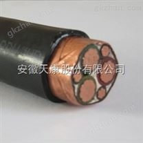 022#線材ZRC-BPYJV-0.6/1KV-3*185+2*70電纜63002