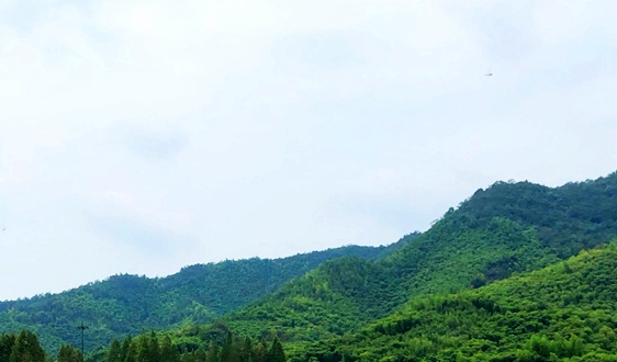 采埃孚制动系统武汉新工厂正式投产，加速在华智能出行布局