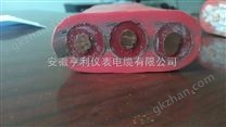 防腐電纜ZR-YFGB扁電纜現(xiàn)貨/認(rèn)證產(chǎn)品