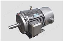 YVFE2系列高效变频电机