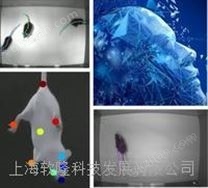 人工智能行為學