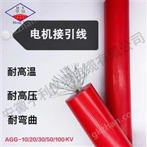 橡皮絕緣電機(jī)繞組引接電纜AGRP節(jié)距251