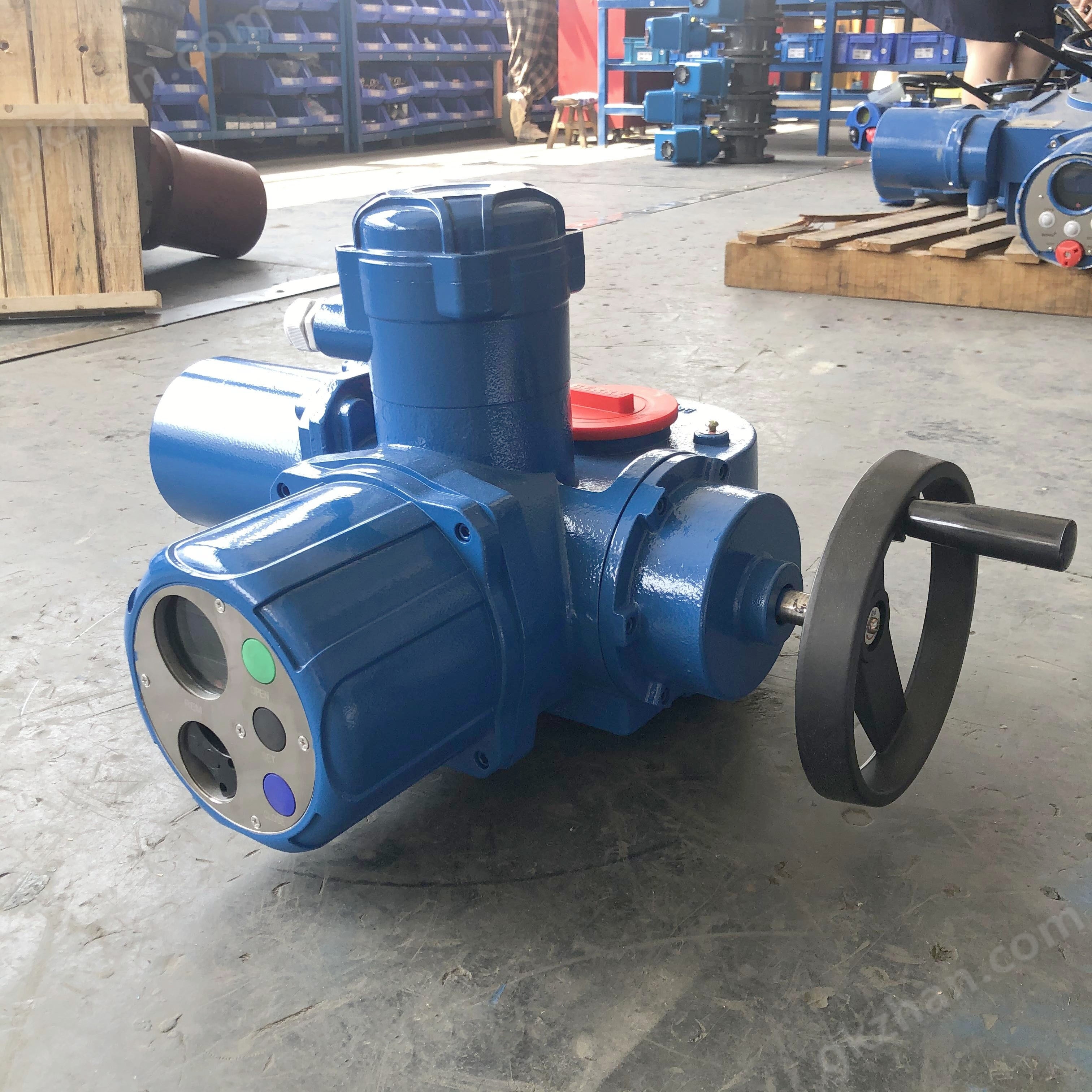 Multi turn electric actuator
