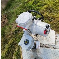 英國羅托克電動執行器IQ18F10BA