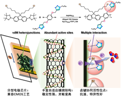 上海微系统所在NO2传感器方面取得进展